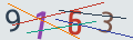 verifycode